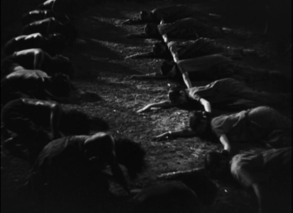 カルプナーの画像