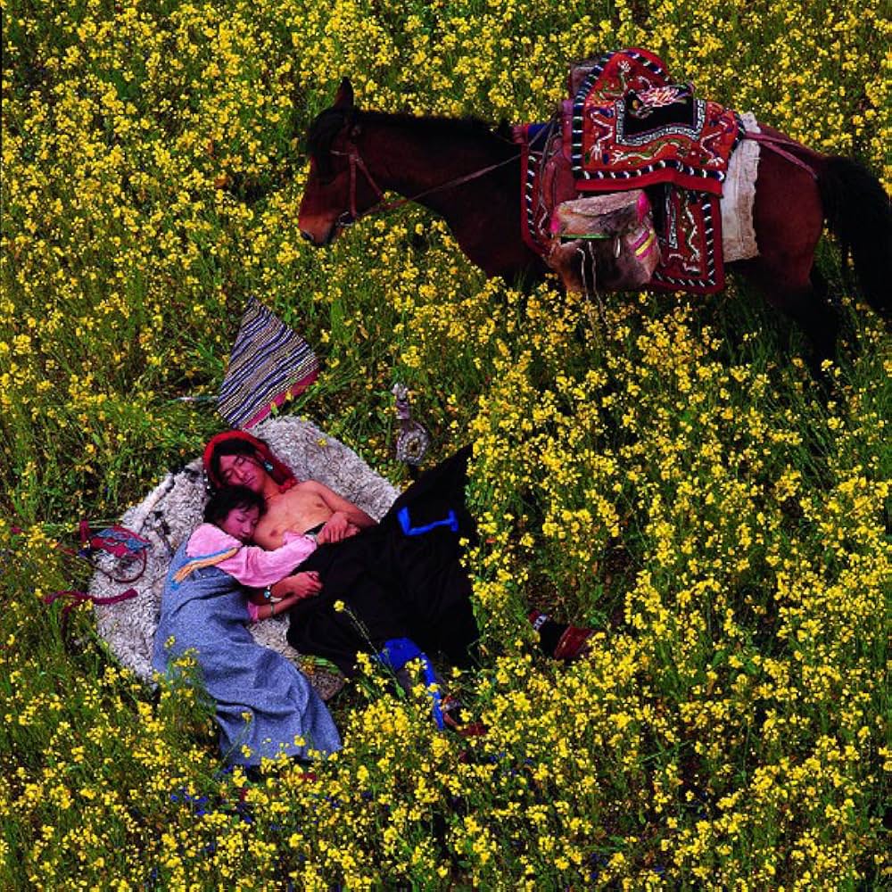 チベットの女／イシの生涯の画像