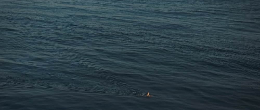 ヤング・ウーマン・アンド・シーの画像