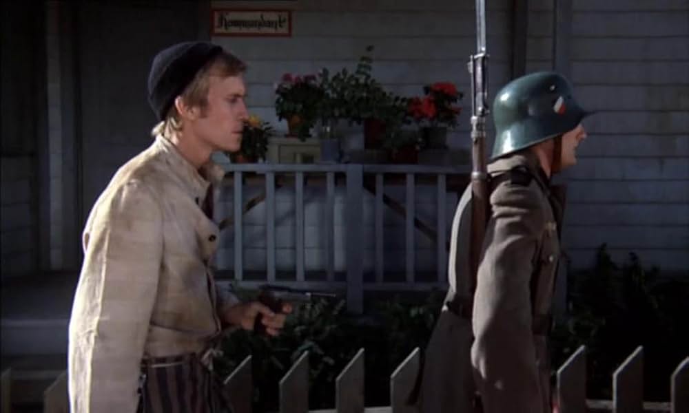 ナチ女収容所 続・悪魔の生体実験の画像