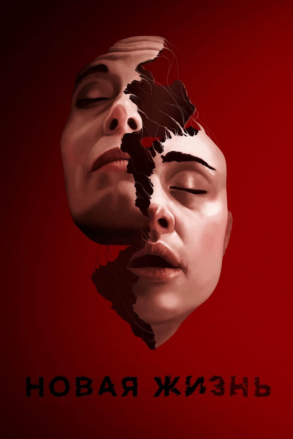 New Life（原題）の画像