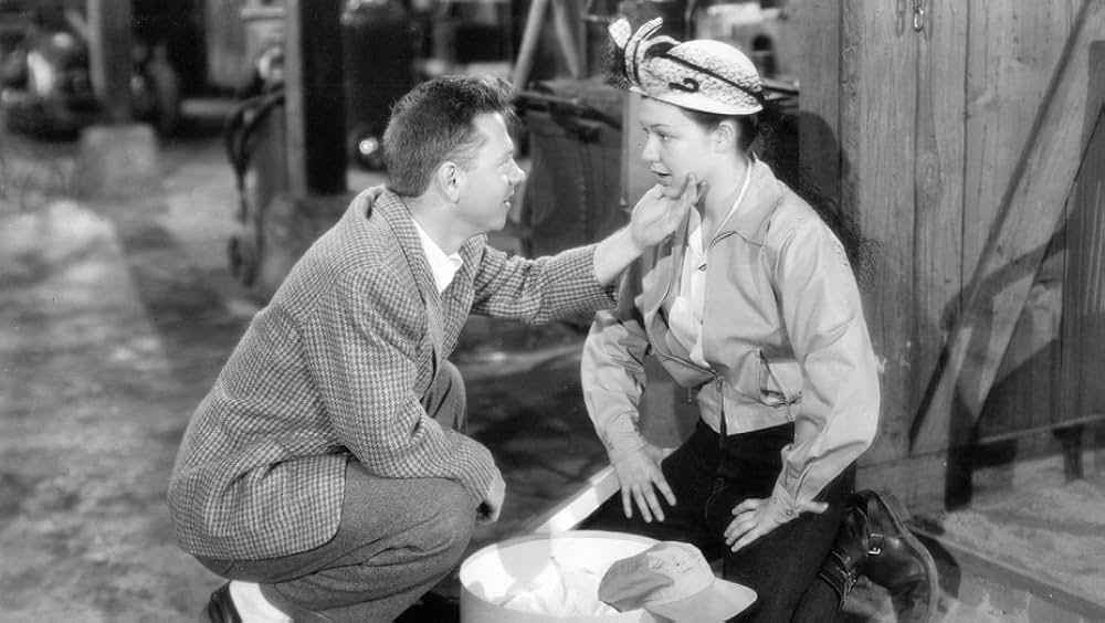 大車輪（ビッグ・ホイール）の画像