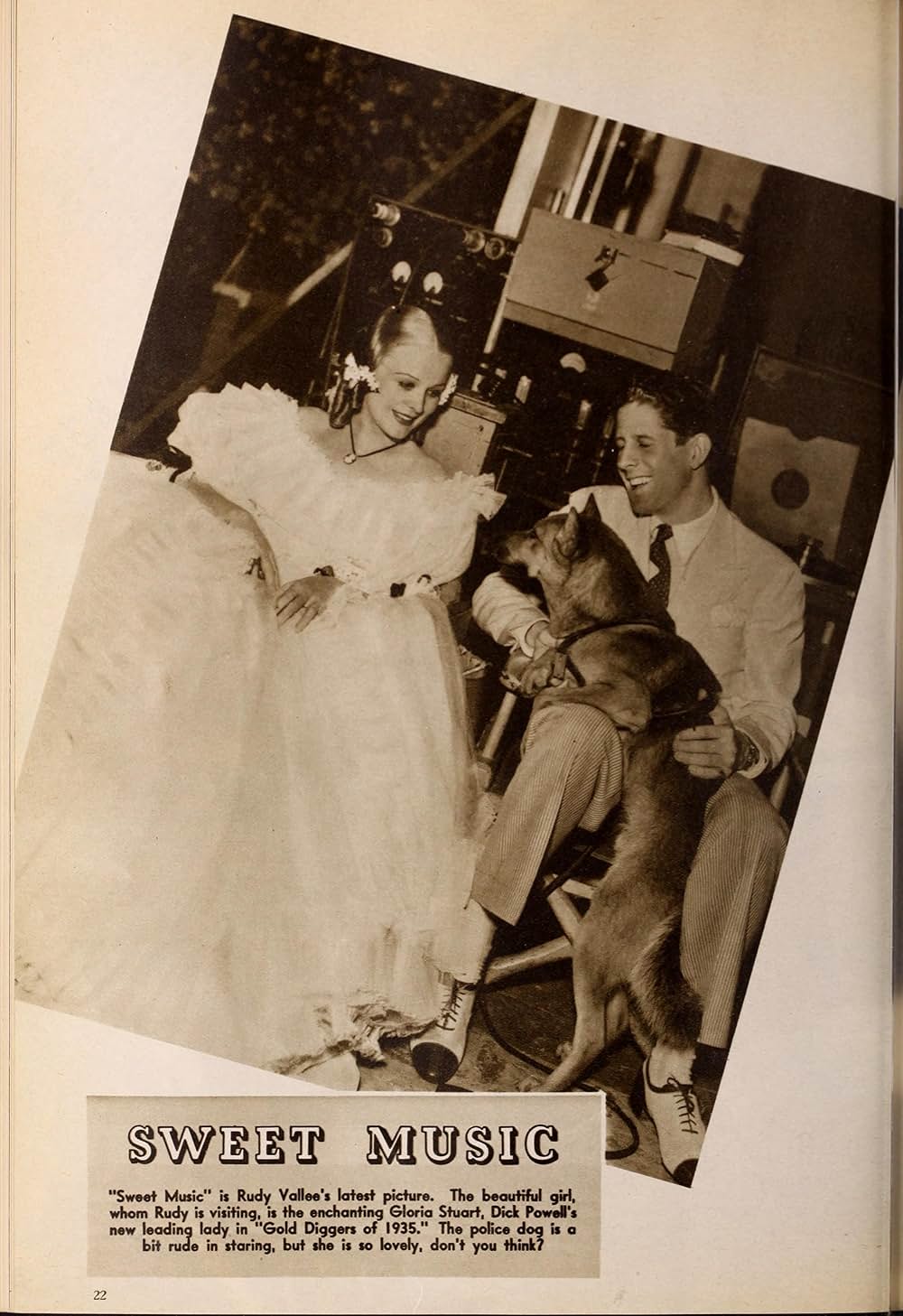 ゴールド・ディガース35年の画像