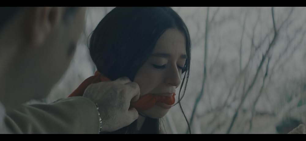 ANORA アノーラの画像