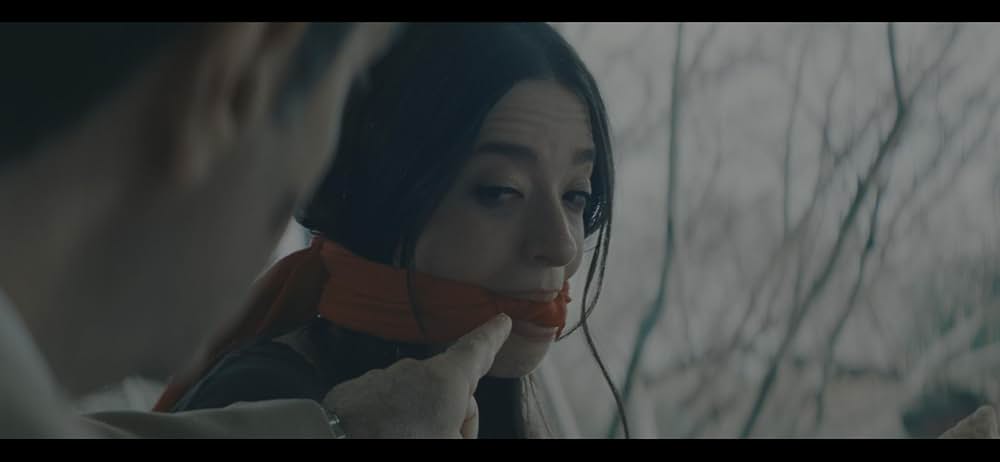 ANORA アノーラの画像