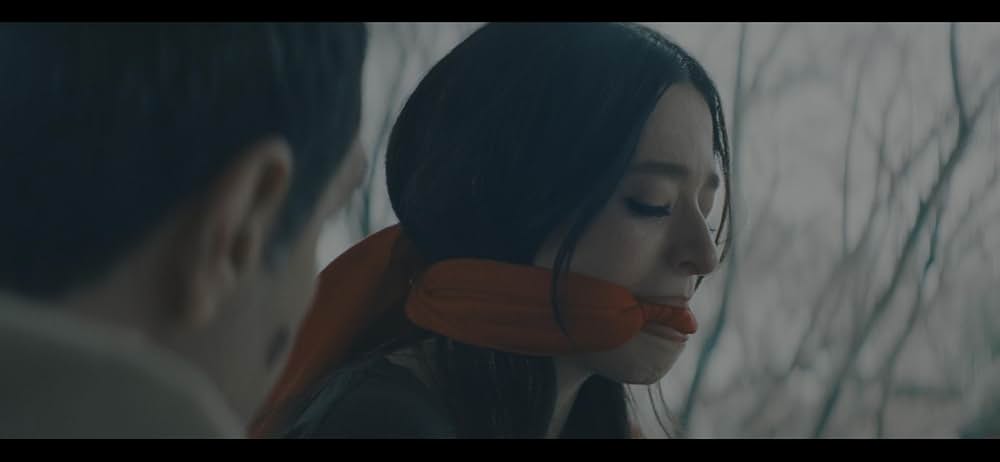 ANORA アノーラの画像