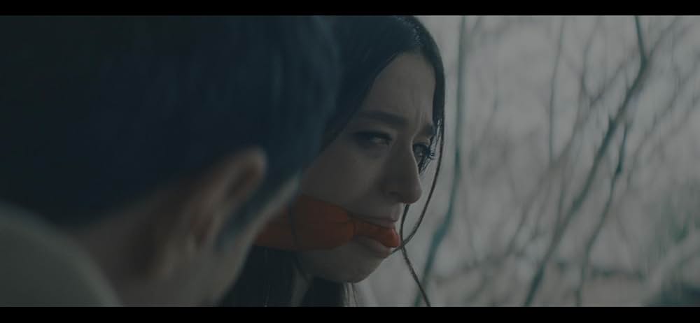 ANORA アノーラの画像