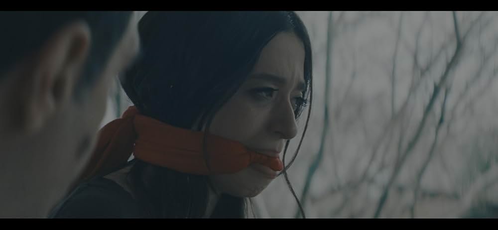 ANORA アノーラの画像