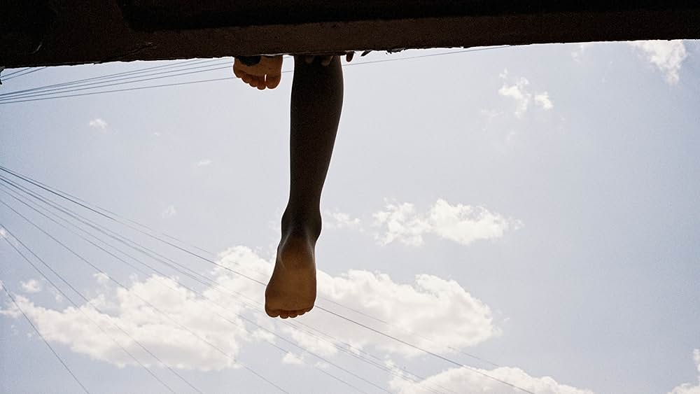 バード ここから羽ばたくの写真