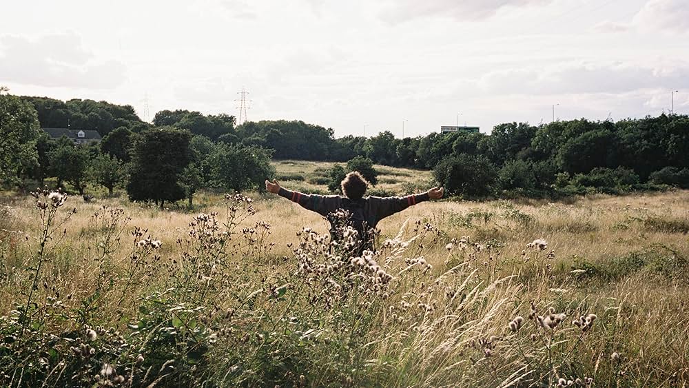 バード ここから羽ばたくの画像