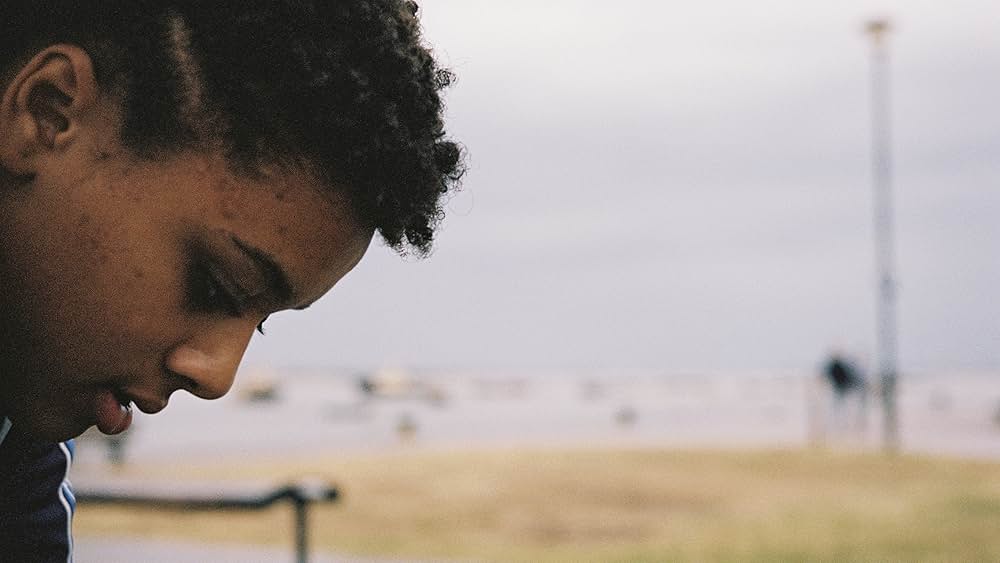 バード ここから羽ばたくの画像