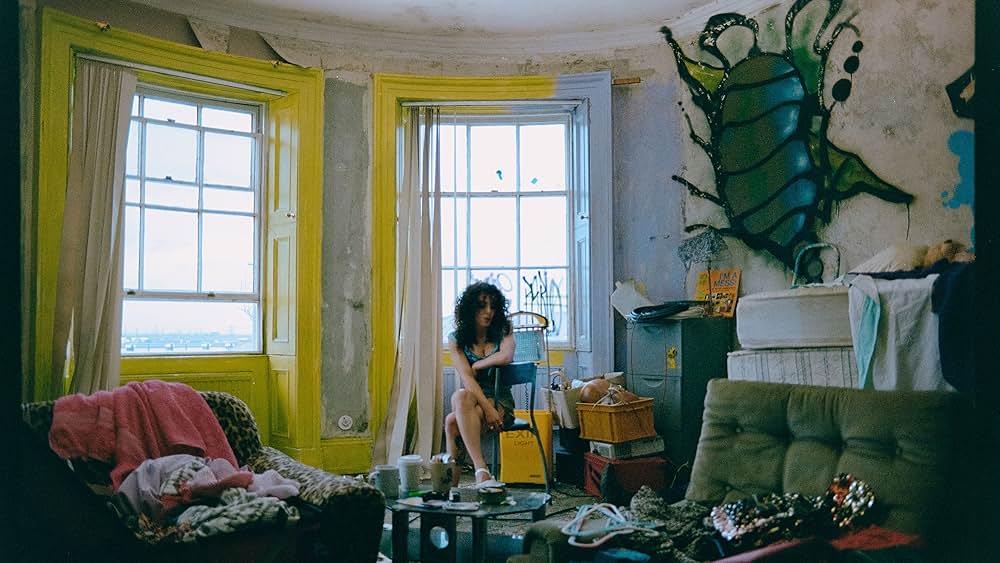 バード ここから羽ばたくの画像