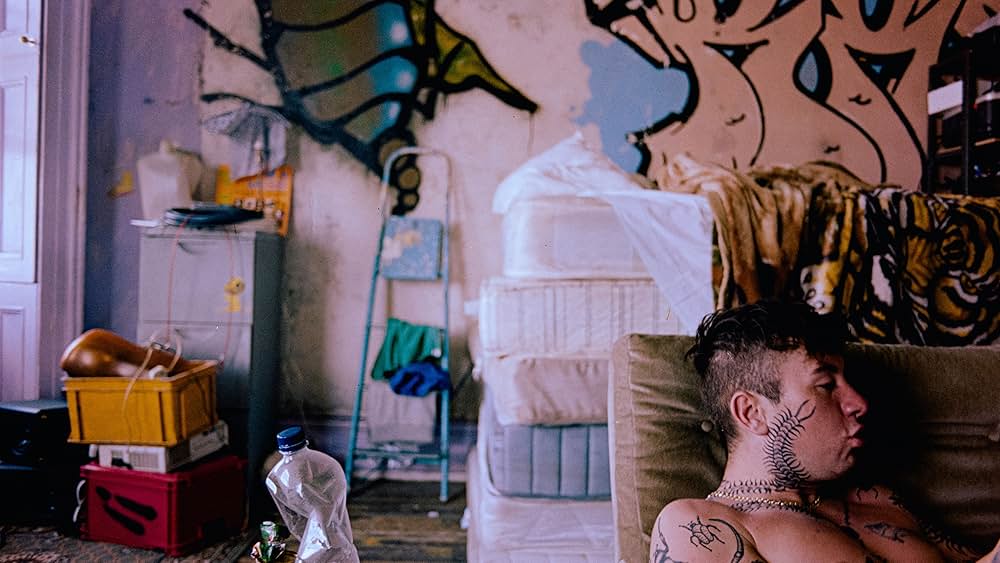 バード ここから羽ばたくの画像