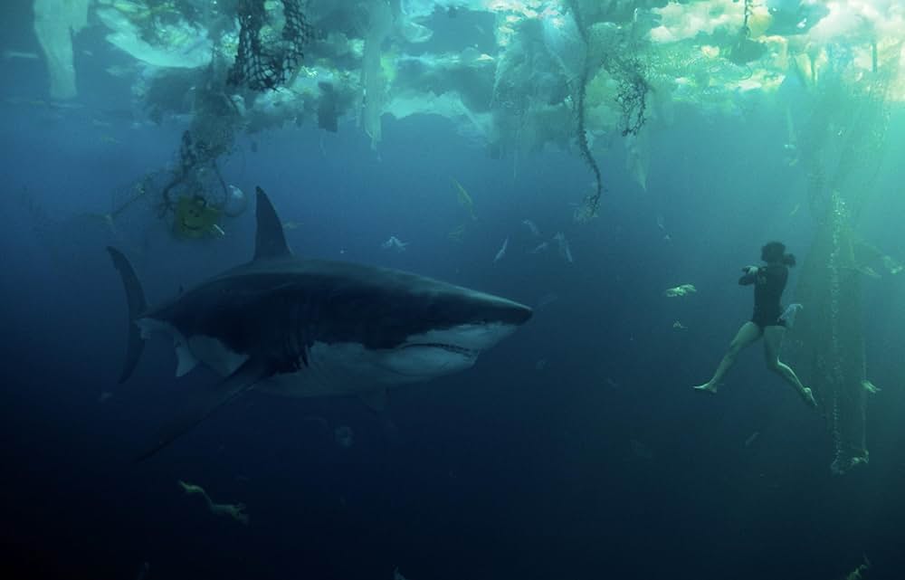 セーヌ川の水面の下にの画像