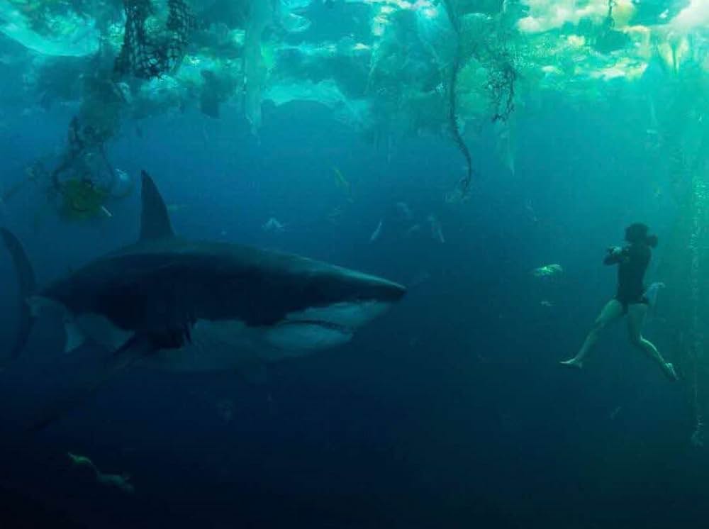 セーヌ川の水面の下にの画像