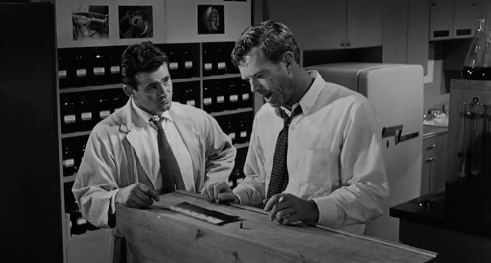 Crime of Passion（原題）の画像