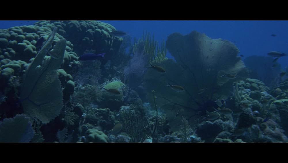 深海征服の画像