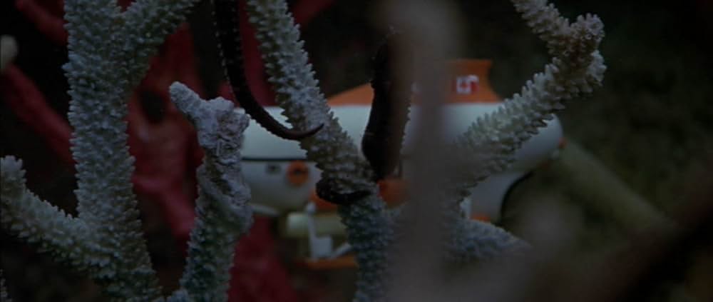 深海征服の画像