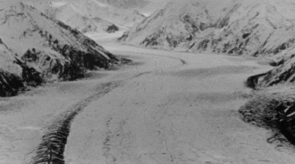 極地からの怪物 大カマキリの脅威の画像