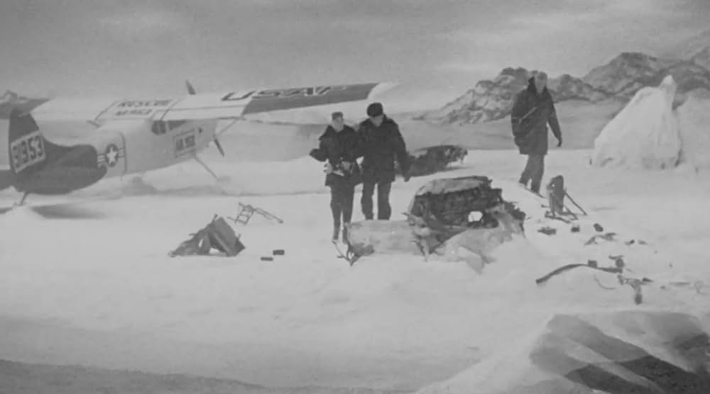 極地からの怪物 大カマキリの脅威の画像