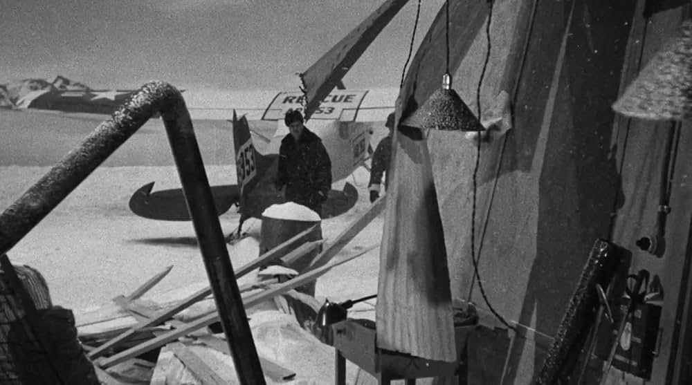 極地からの怪物 大カマキリの脅威の画像