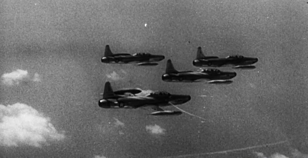 極地からの怪物 大カマキリの脅威の画像