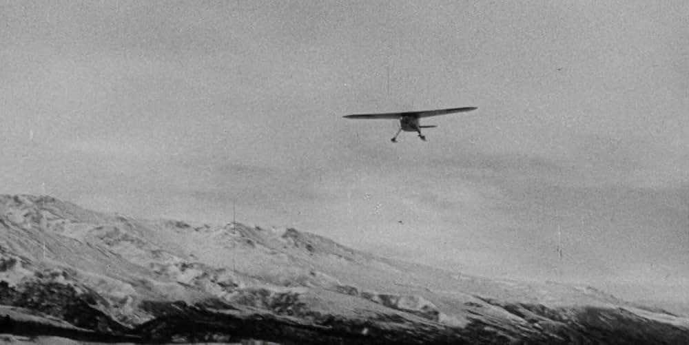 極地からの怪物 大カマキリの脅威の画像