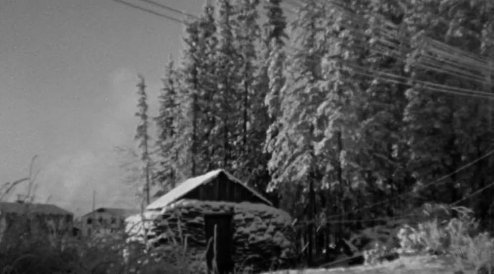 極地からの怪物 大カマキリの脅威の画像