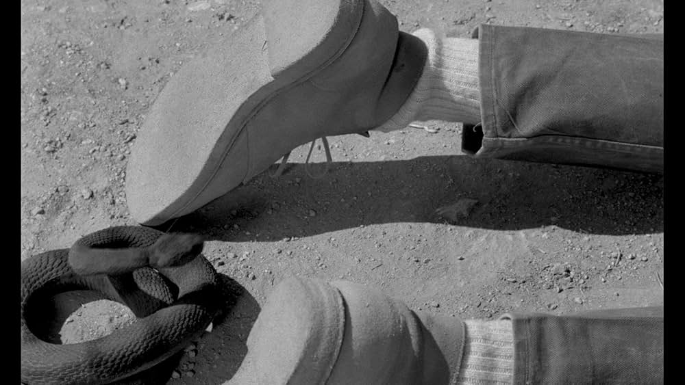 モーター・サイコの画像