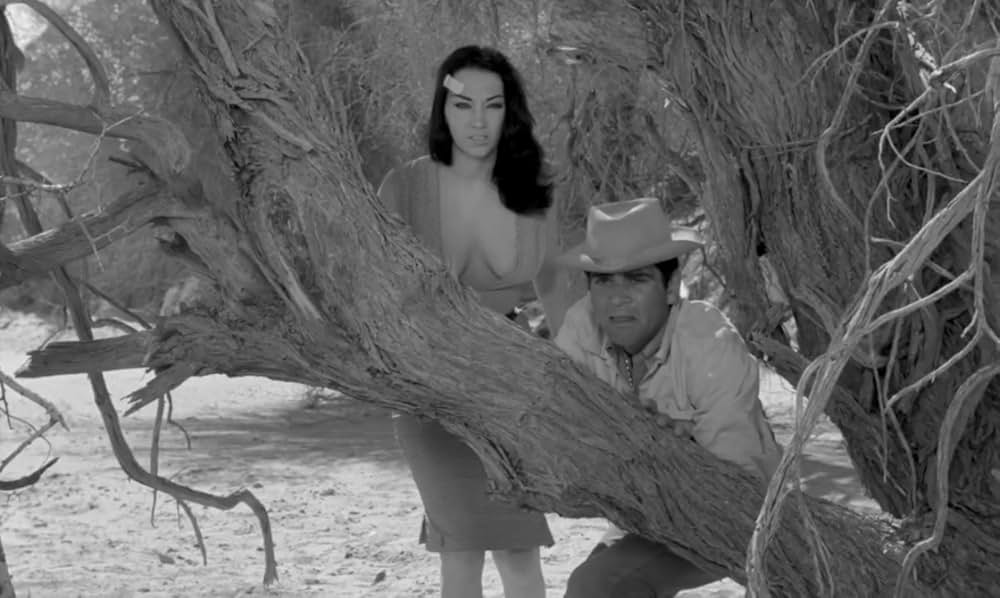 モーター・サイコの画像