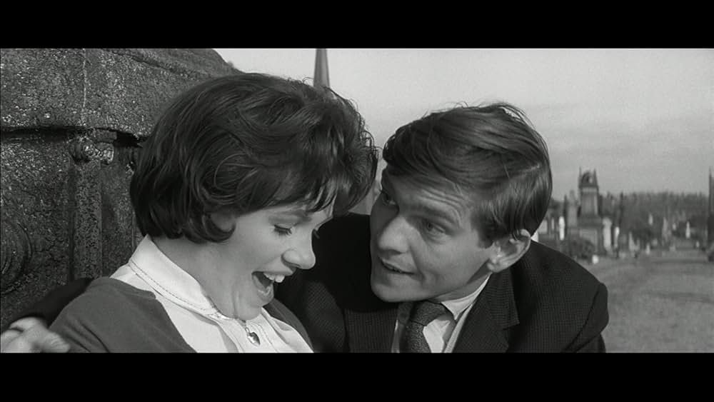 うそつきビリーの画像