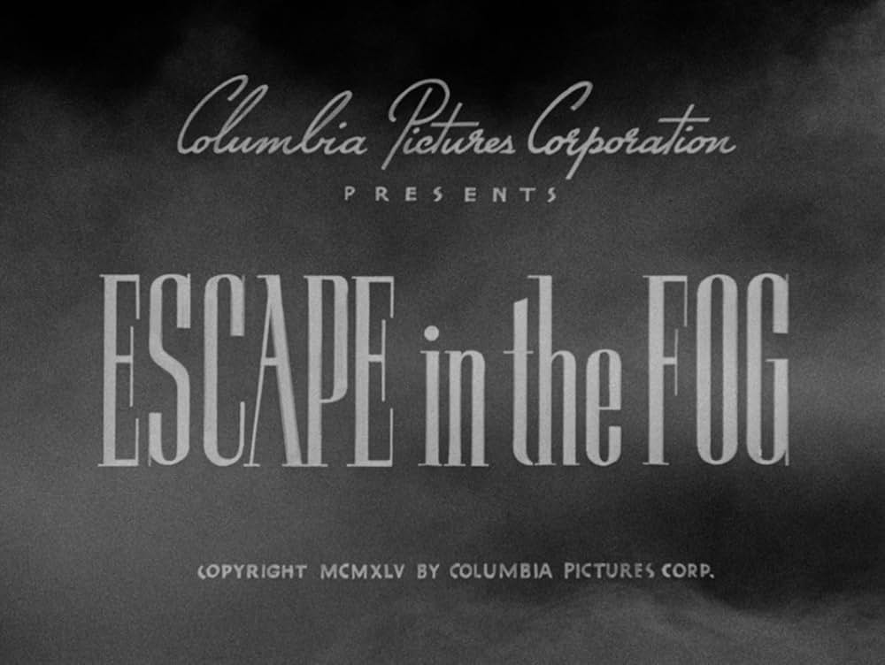 霧の中の逃走の画像