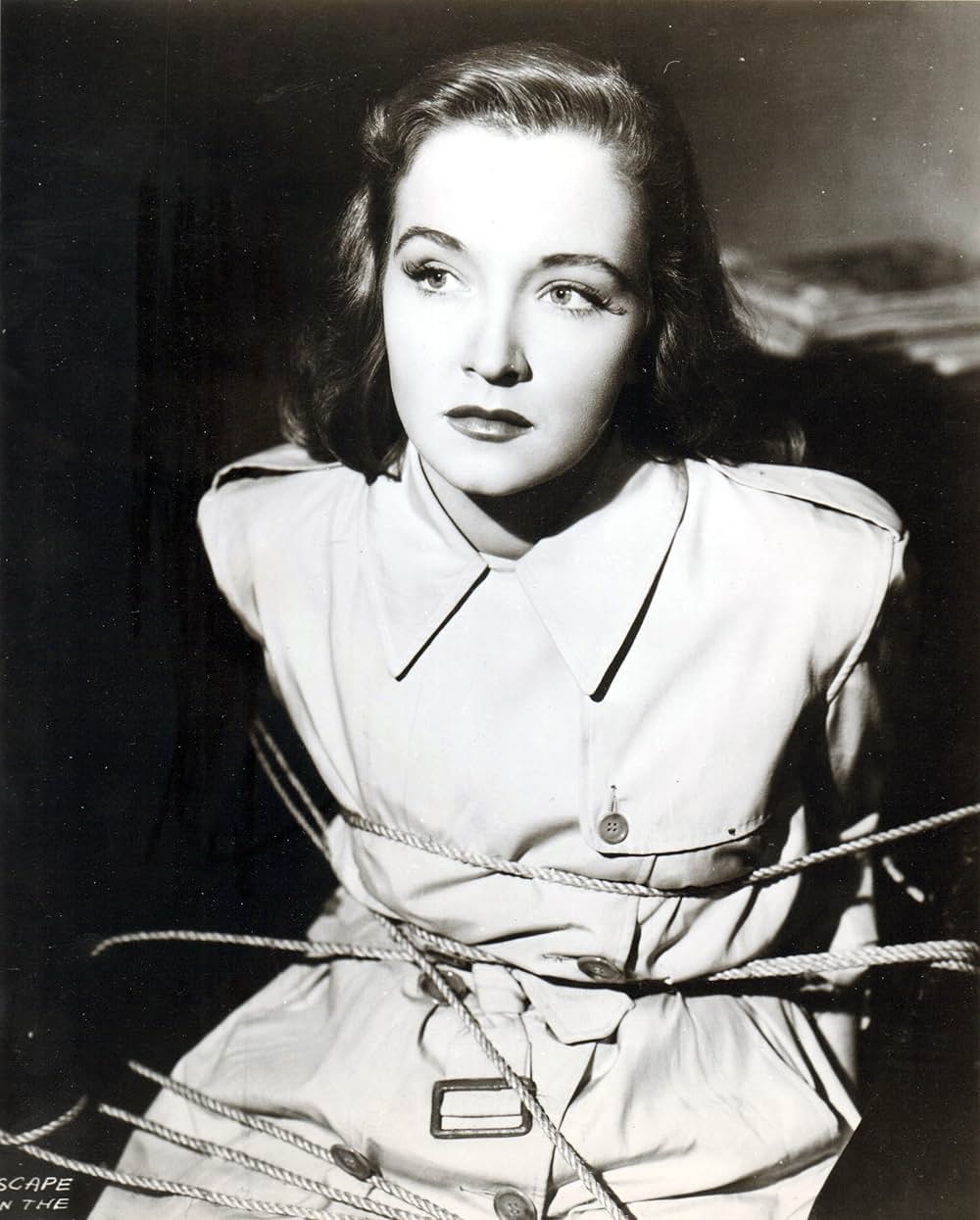 霧の中の逃走の画像