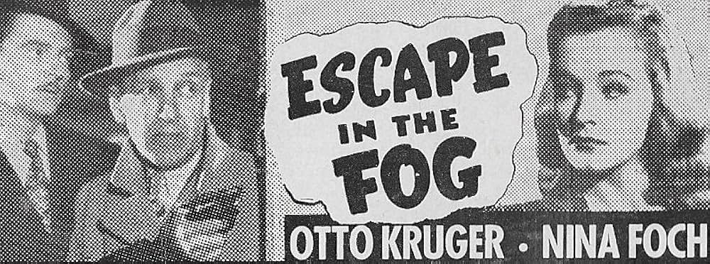 霧の中の逃走の画像