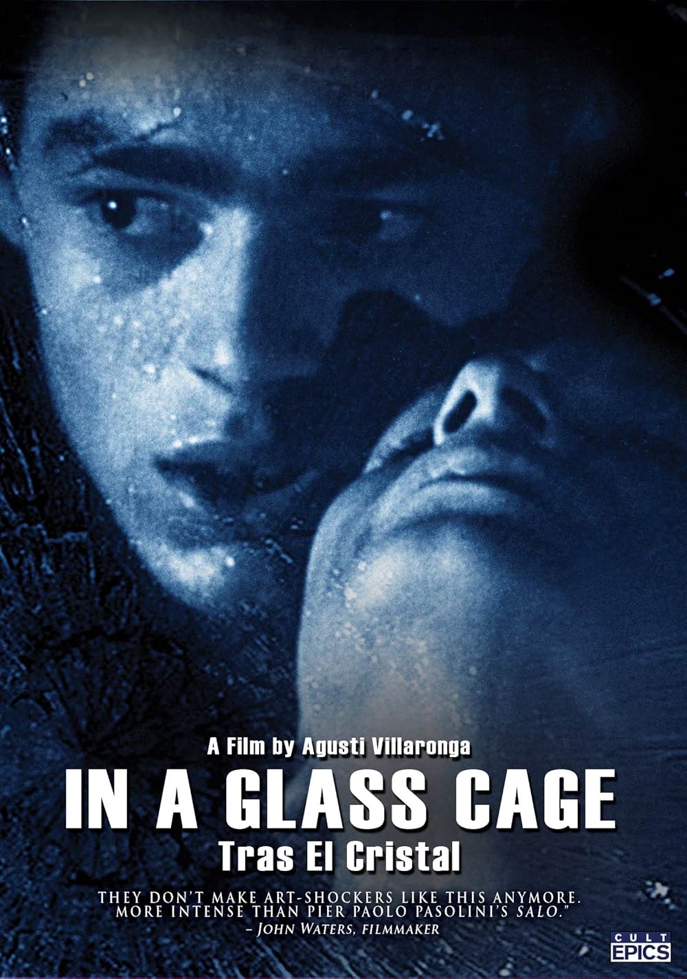 In A Glass Cageの写真