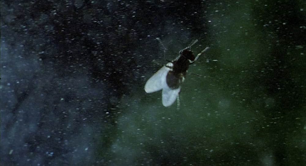 In A Glass Cageの画像