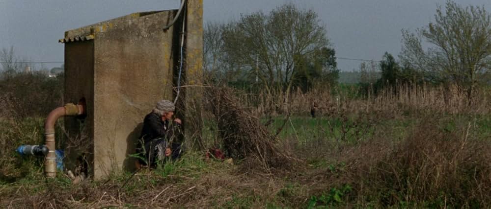 アラビアン・ナイト 第３部 魅了された人々の画像