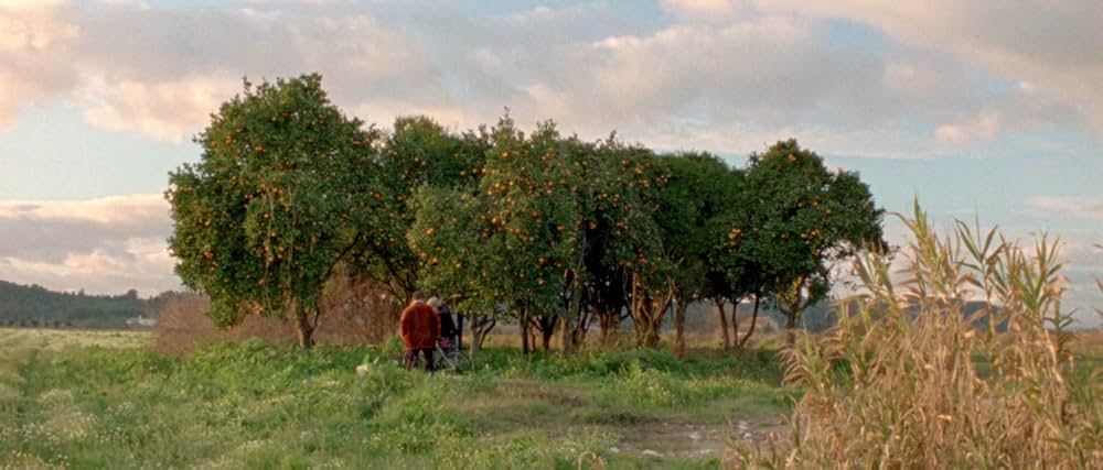 アラビアン・ナイト 第３部 魅了された人々の画像