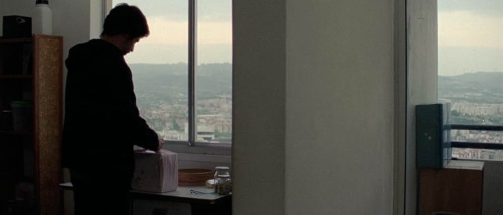 アラビアン・ナイト 第３部 魅了された人々の画像