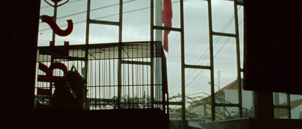 アラビアン・ナイト 第３部 魅了された人々の画像