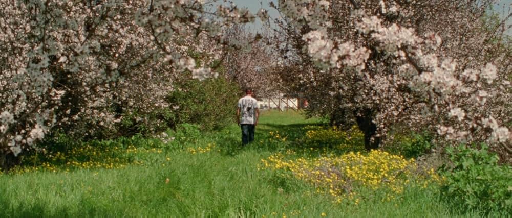 アラビアン・ナイト 第３部 魅了された人々の画像