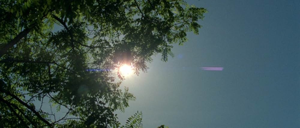 アラビアン・ナイト 第３部 魅了された人々の画像