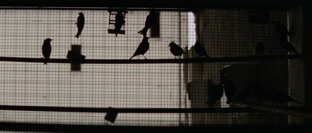 アラビアン・ナイト 第３部 魅了された人々の画像