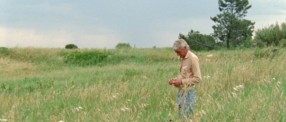 アラビアン・ナイト 第３部 魅了された人々の画像