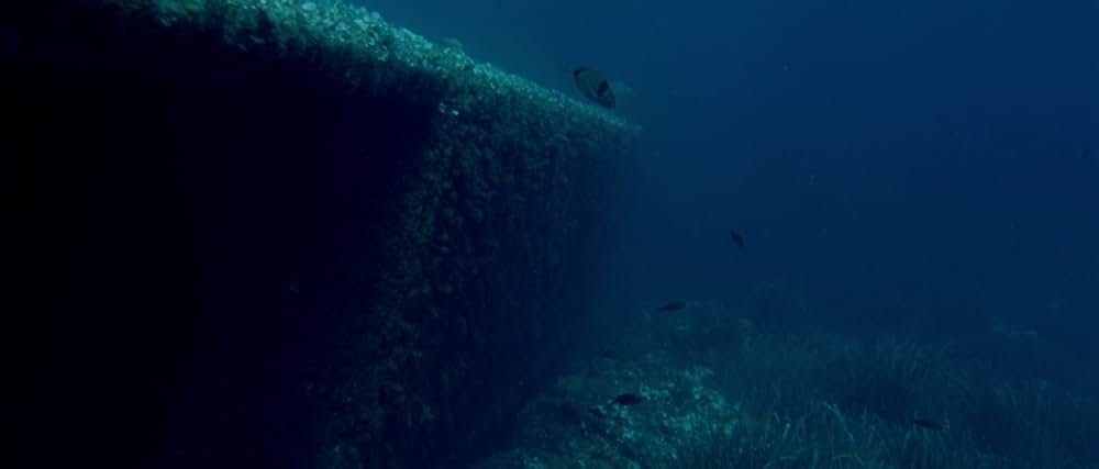 アラビアン・ナイト 第３部 魅了された人々の画像