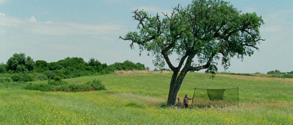 アラビアン・ナイト 第３部 魅了された人々の画像