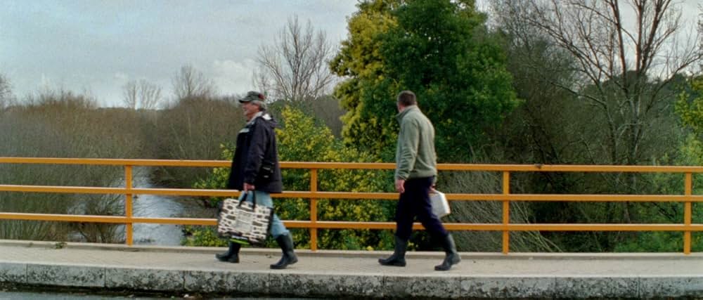 アラビアン・ナイト 第３部 魅了された人々の画像