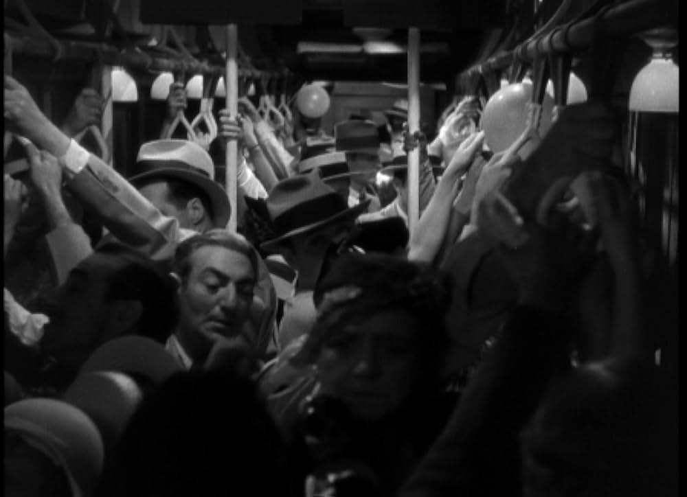 輝ける百合の画像