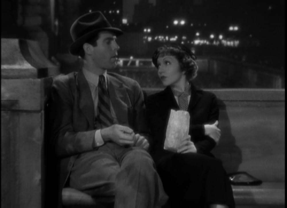 輝ける百合の画像