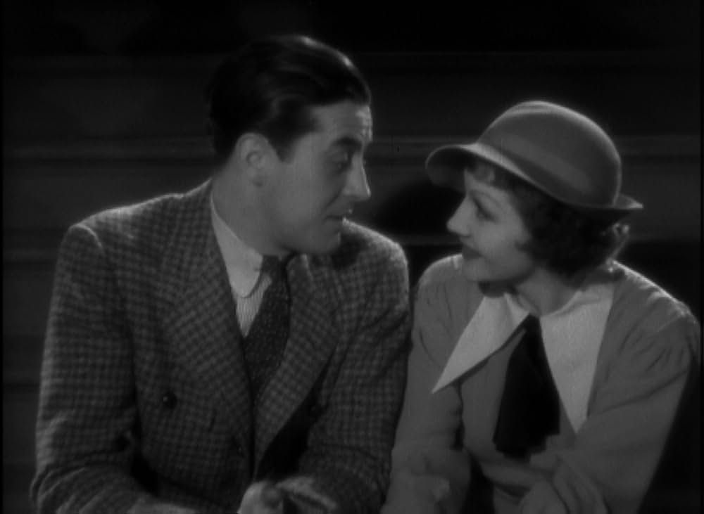 輝ける百合の画像